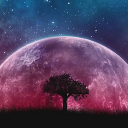 thestartree24 avatar