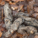 thestormssong avatar