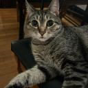 thestoryfiend avatar