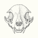 thestrangeforest avatar