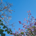 thestrongblue avatar