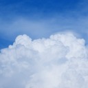 thestudiousalien avatar