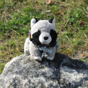 thestuffiecrew avatar