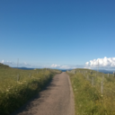 thestuffofmybrain avatar