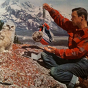 thesugarmountain-blog avatar