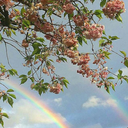 thesunnysideofthesun avatar