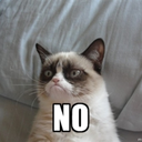 thesunshinebeat-blog avatar