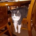 thesunssilhouette avatar