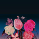 thesunthemoonx avatar