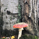 thesunwillcxmeouttomorrow avatar