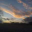 thesunwillrise3466 avatar