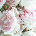 thesuperunnatural avatar