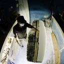 theswallowtailsociety avatar