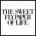 thesweetflypaperoflife avatar