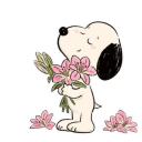 thesweetiepienovels avatar