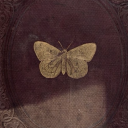 thesylviaromenovels avatar