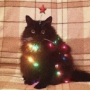 thetablestspoon avatar