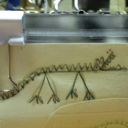 thetalesofmooseandsquirrel avatar