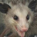 thetalismonger avatar