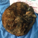 thetanyapotter avatar