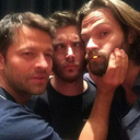 thetardishasaquidditchpitch avatar