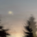 thetattooedfae avatar