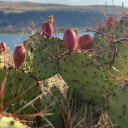 thetempestswrath avatar