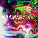 theterminally-chill avatar