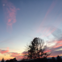 thetestoflife avatar