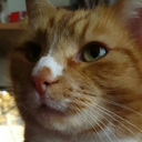 thethickplottenss avatar