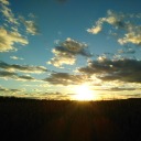 thethingsidoforausername avatar