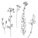 thethingsilikexo avatar