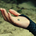 thethingswelovemostdestroyus avatar