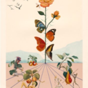 thethingzwedo avatar