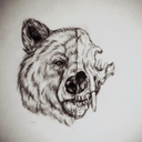 thethinkerpsychobear avatar