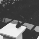 thethirdstreet-saint-blog avatar