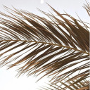 thethousandthman avatar