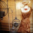 thethreeshades avatar