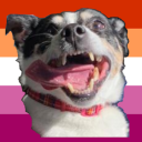 thethunderwolf avatar