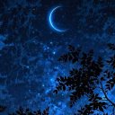 thetideswillturn avatar