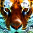 thetigers avatar