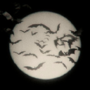 thetightlytangledweb avatar