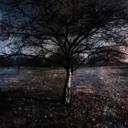 thetimelordandthetardis avatar