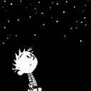 thetiptoeingtulip avatar