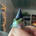 thetiredfroggy avatar