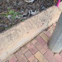 thetiredwitch avatar