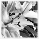 theto-readpile avatar