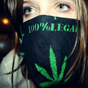 thetoad-smokesdope avatar