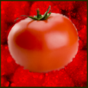 thetomatochronicles avatar