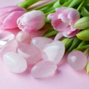 thetraditionalvalueswitch avatar